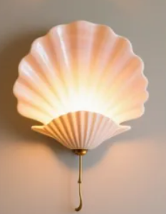 The white shell
